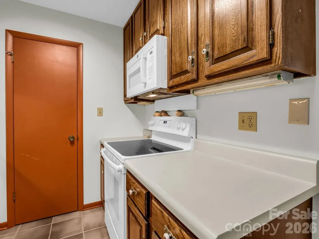 1 Lynx Drive Black Mountain NC 28711