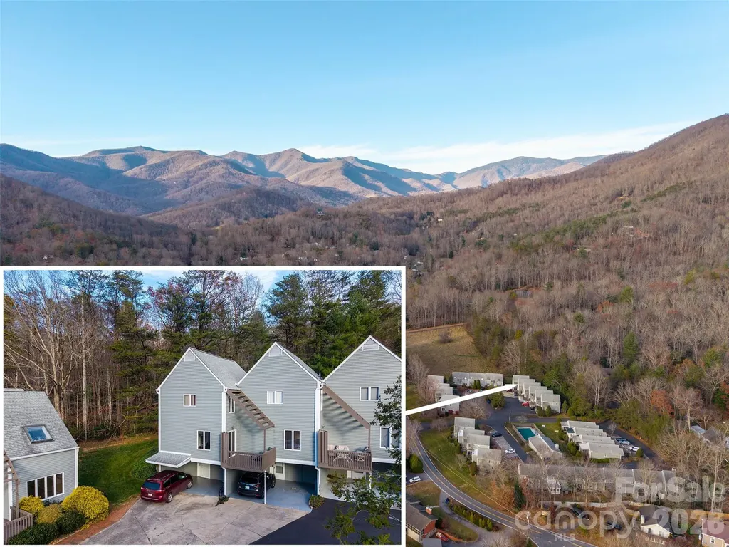 1 Lynx Drive Black Mountain NC 28711