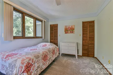 1 Lynx Drive Black Mountain NC 28711