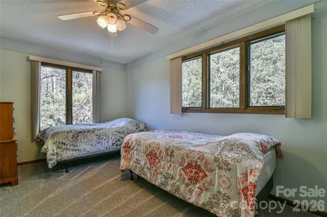 1 Lynx Drive Black Mountain NC 28711