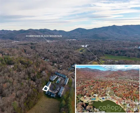 1 Lynx Drive Black Mountain NC 28711