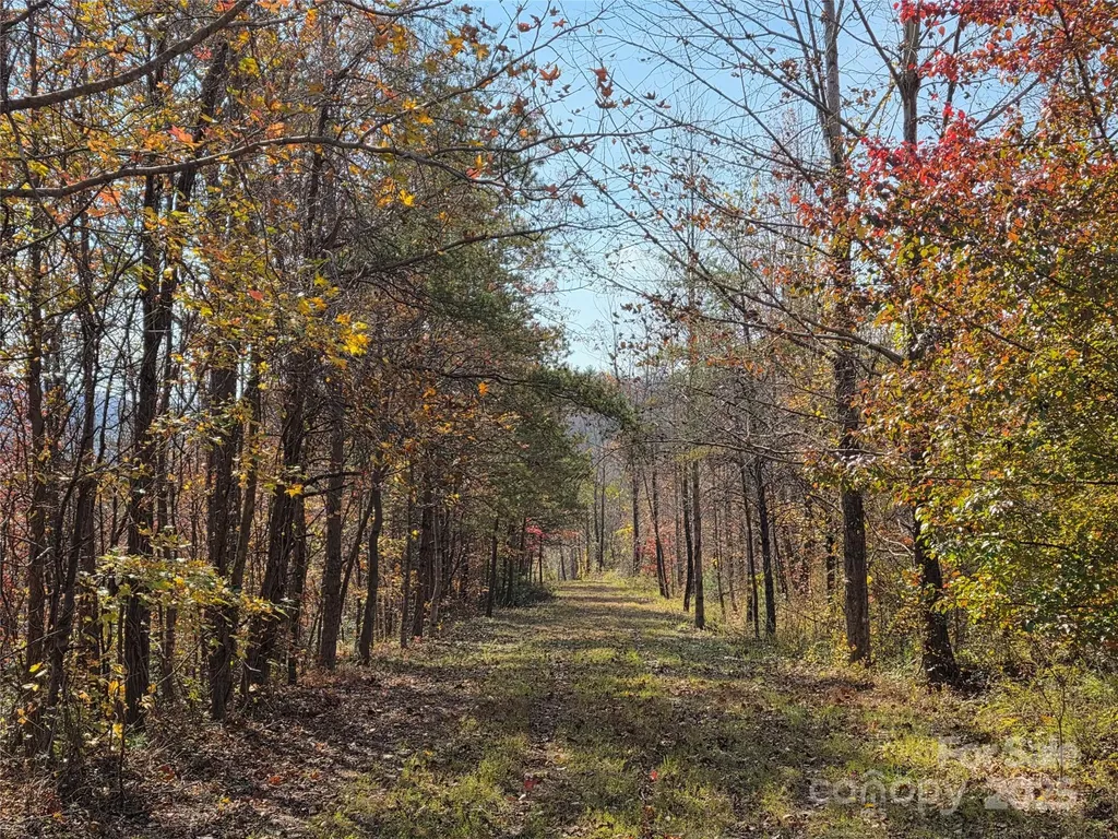 00 Hwy 221 Highway N Marion NC 28752