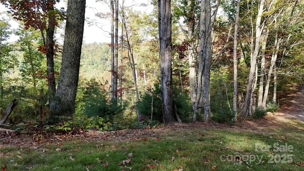 2 Roberts Mountain Road Clyde NC 28721