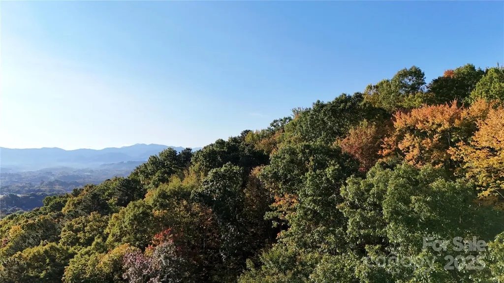 2 Roberts Mountain Road Clyde NC 28721