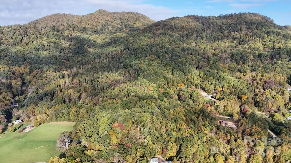 2 Roberts Mountain Road Clyde NC 28721
