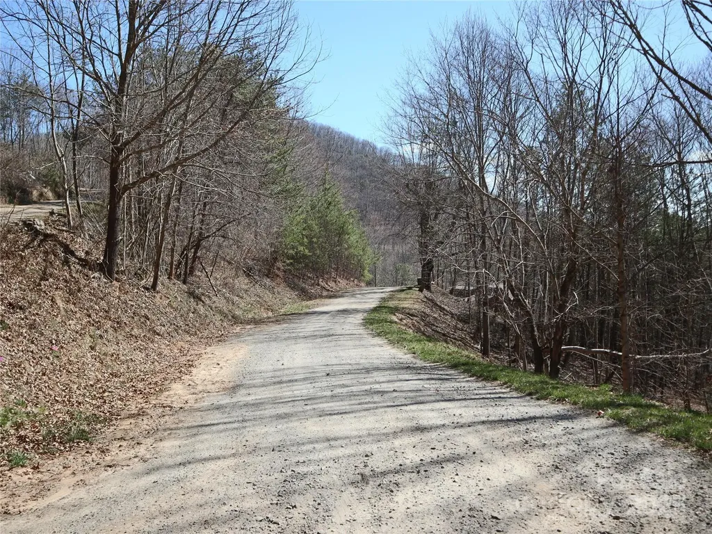 2 Roberts Mountain Road Clyde NC 28721
