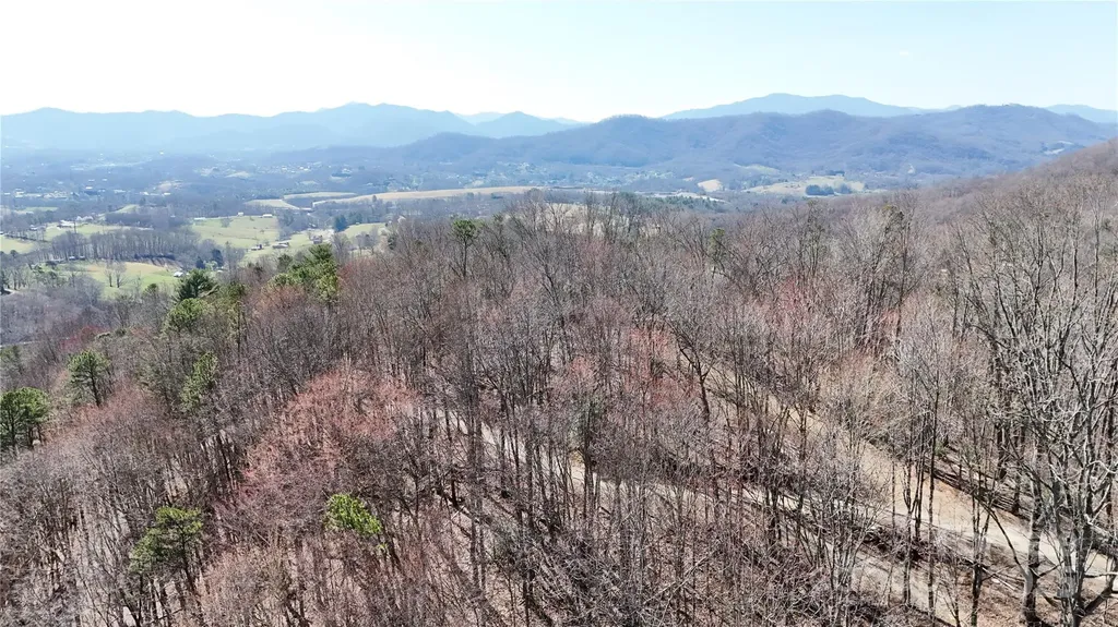2 Roberts Mountain Road Clyde NC 28721