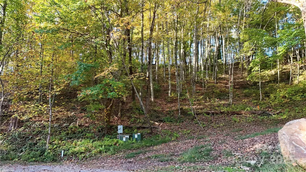 2 Roberts Mountain Road Clyde NC 28721