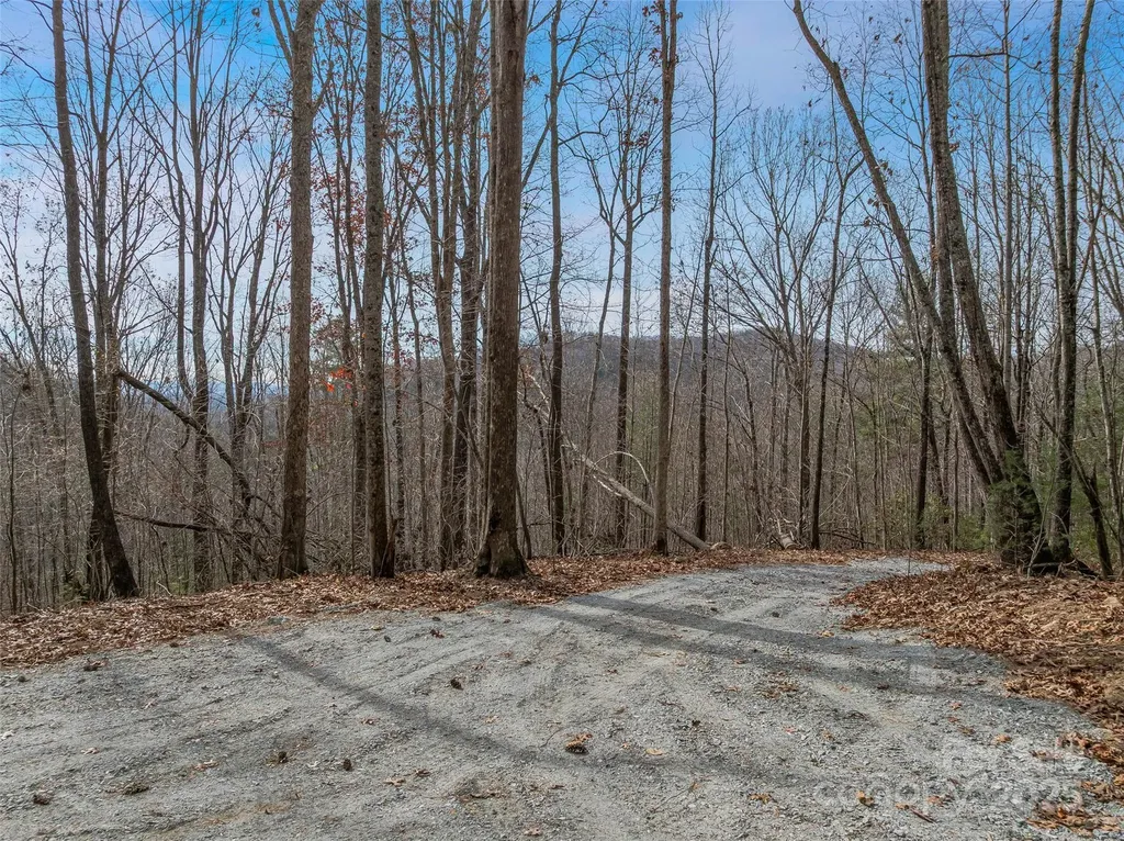 9999-18 Bob Barnwell Road Asheville NC 28803