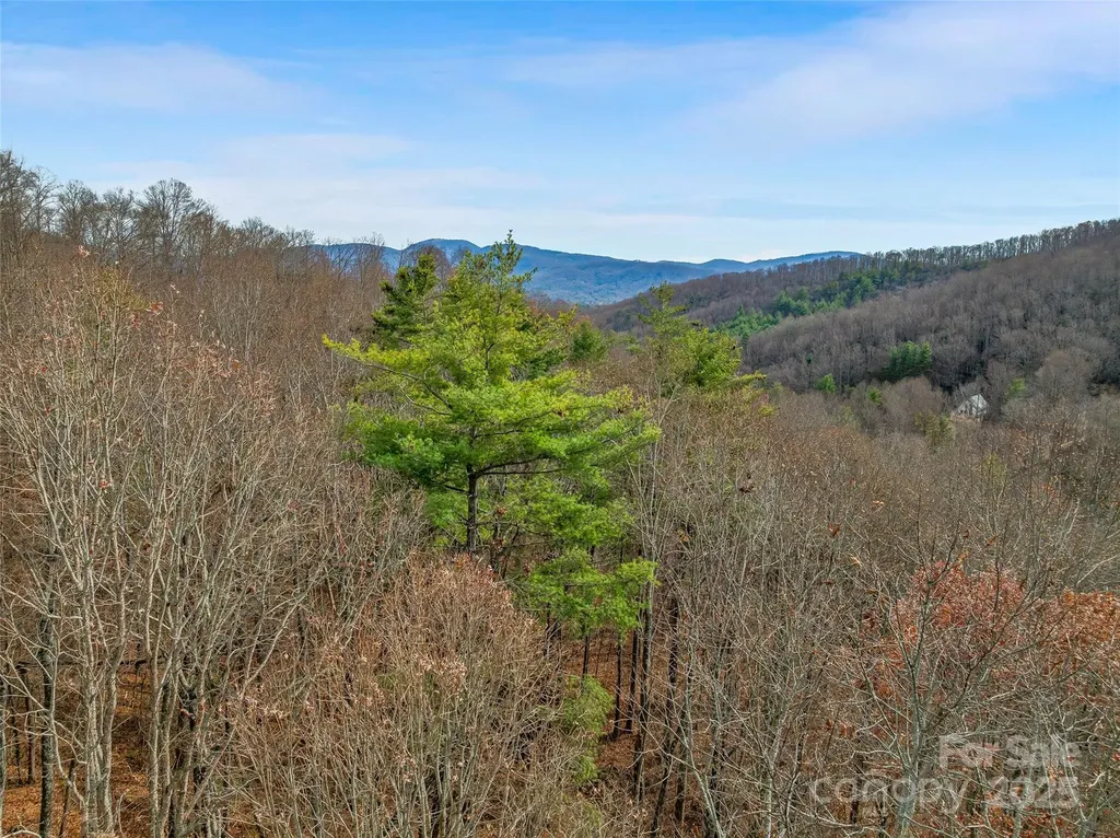 9999-18 Bob Barnwell Road Asheville NC 28803
