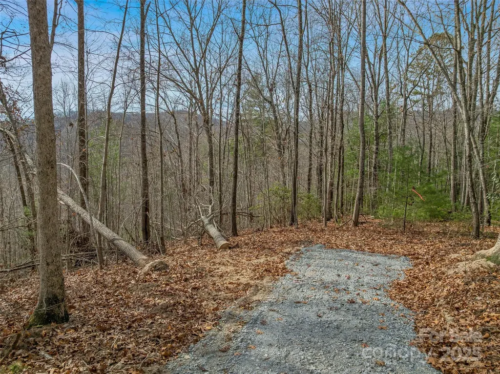 9999-18 Bob Barnwell Road Asheville NC 28803
