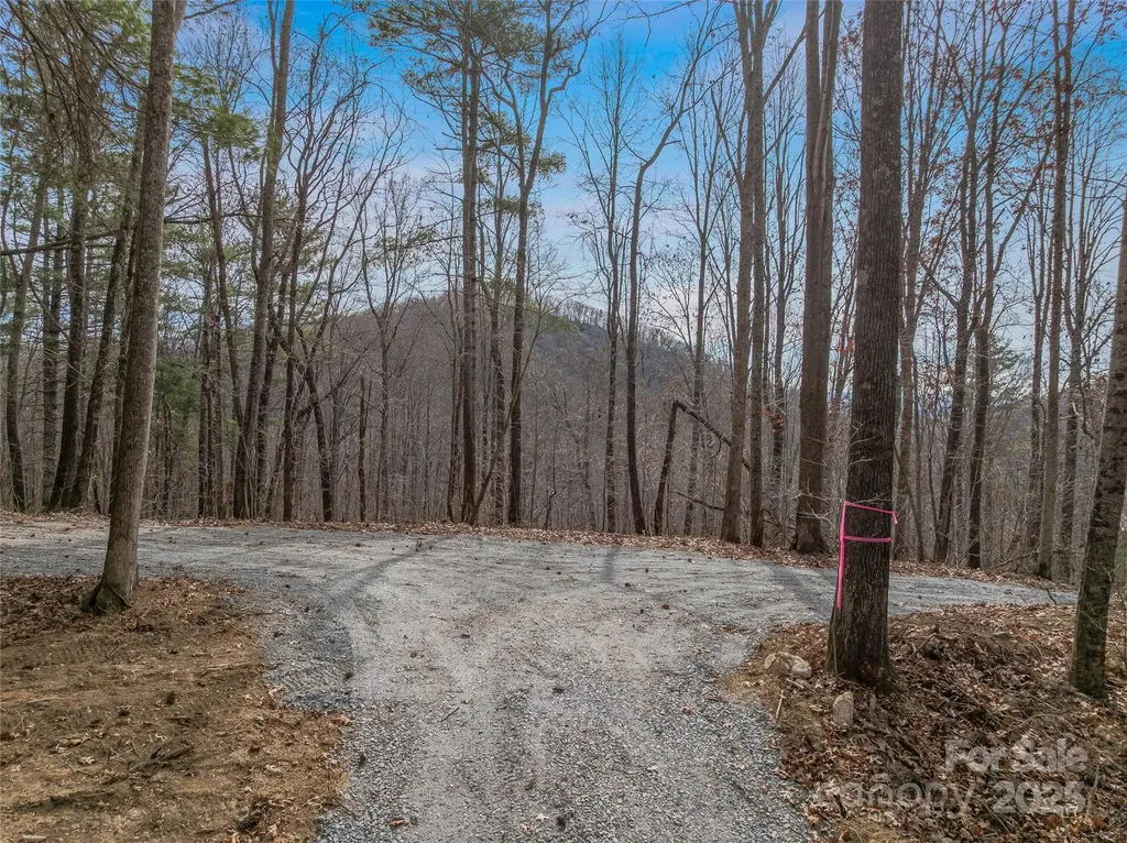 9999-18 Bob Barnwell Road Asheville NC 28803