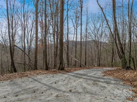 9999-18 Bob Barnwell Road Asheville NC 28803