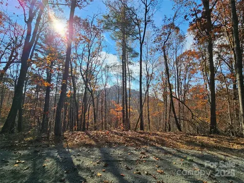 9999-18 Bob Barnwell Road Asheville NC 28803