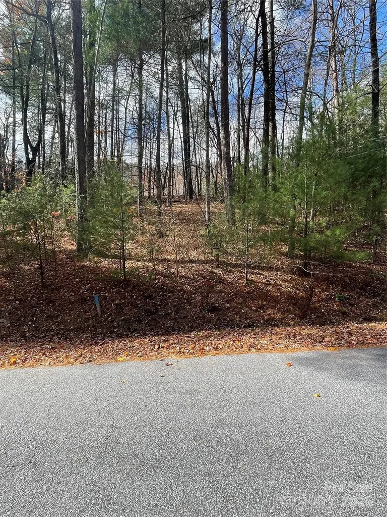 00 Pinnacle Falls Lane Zirconia NC 28790