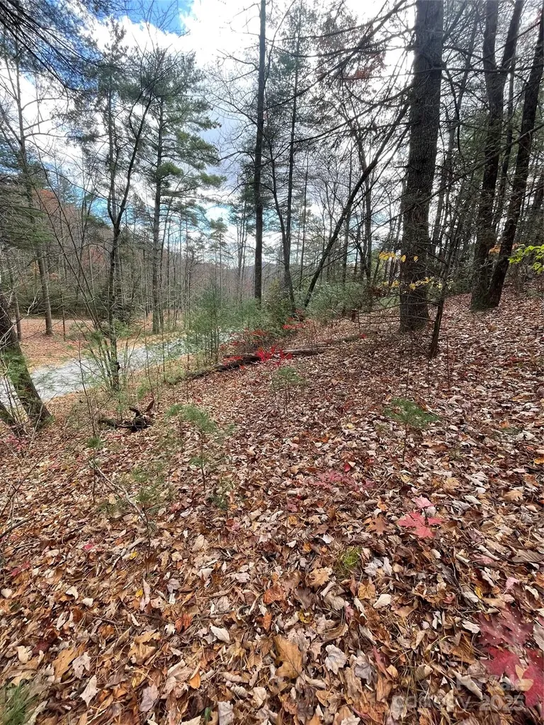 00 Pinnacle Falls Lane Zirconia NC 28790