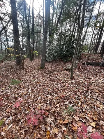 00 Pinnacle Falls Lane Zirconia NC 28790
