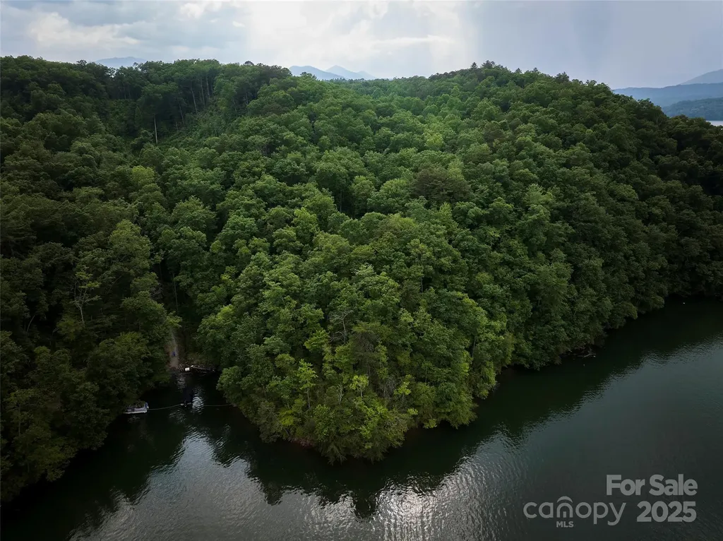 0 Bailey Fields Road Robbinsville NC 28771