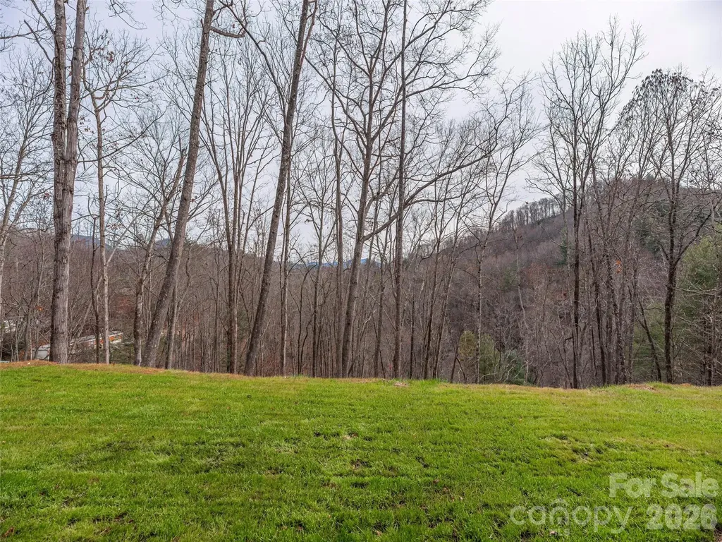 55 Dean Riddle Drive Waynesville NC 28785
