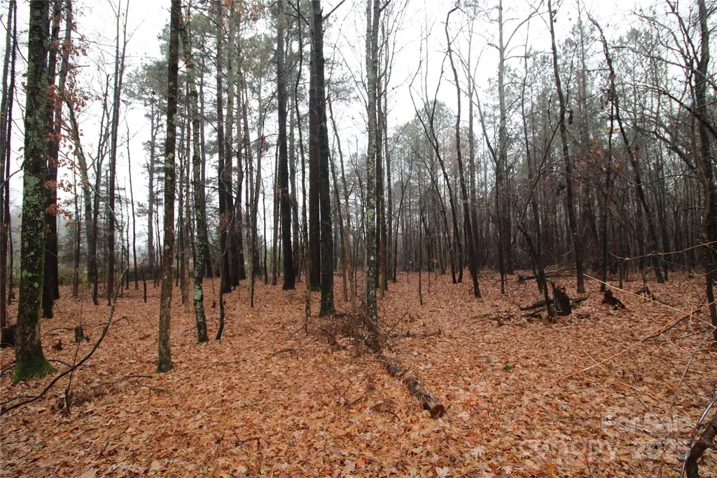 4.78+/-AC Neal Road Bessemer City NC 28016