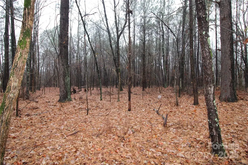 4.78+/-AC Neal Road Bessemer City NC 28016