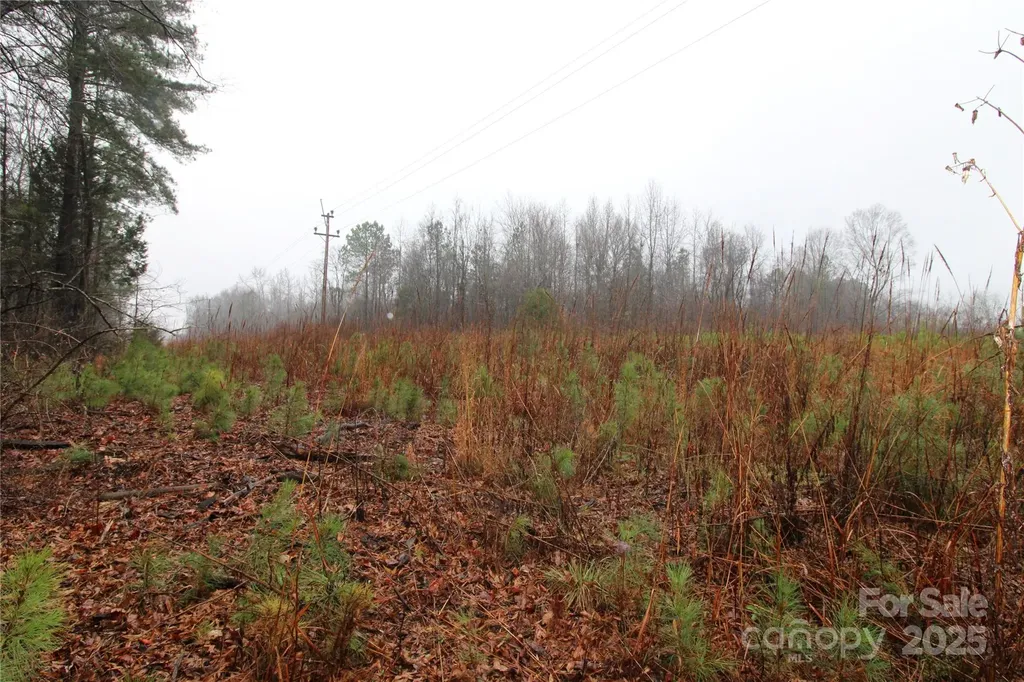 4.78+/-AC Neal Road Bessemer City NC 28016