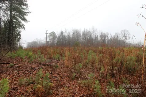 4.78+/-AC Neal Road Bessemer City NC 28016