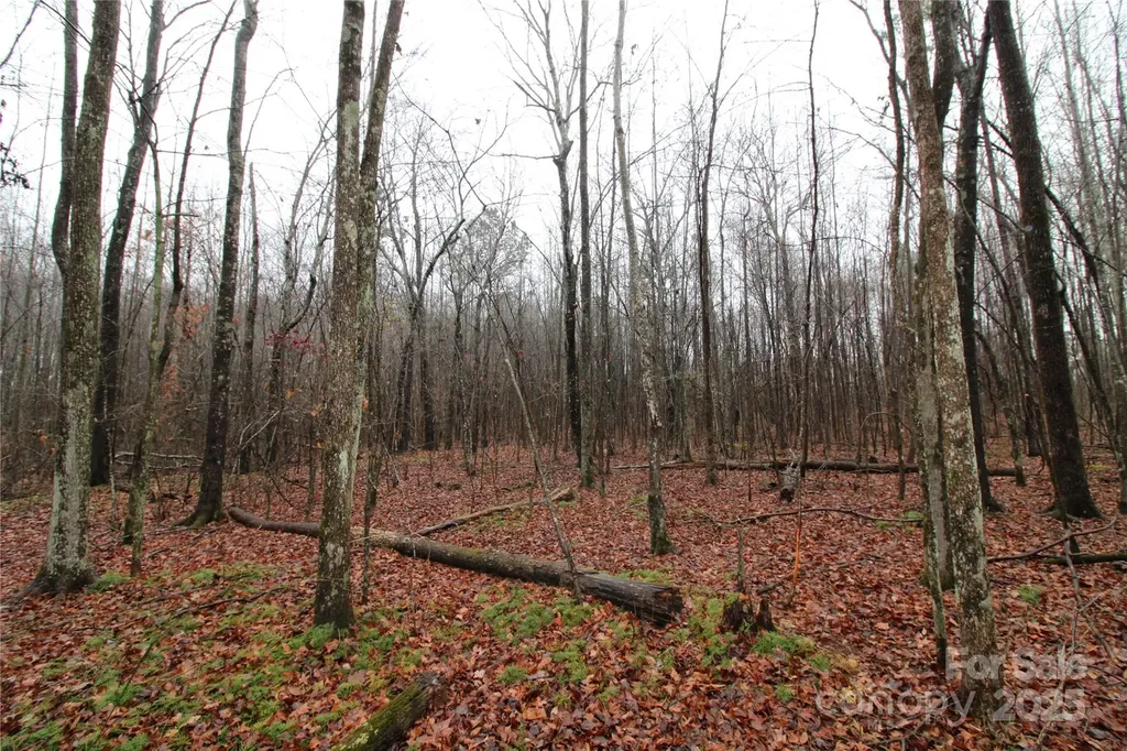 5+/-AC Eaker Road Bessemer City NC 28016