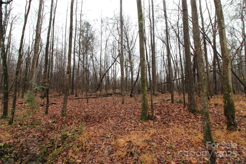 5+/-AC Eaker Road Bessemer City NC 28016