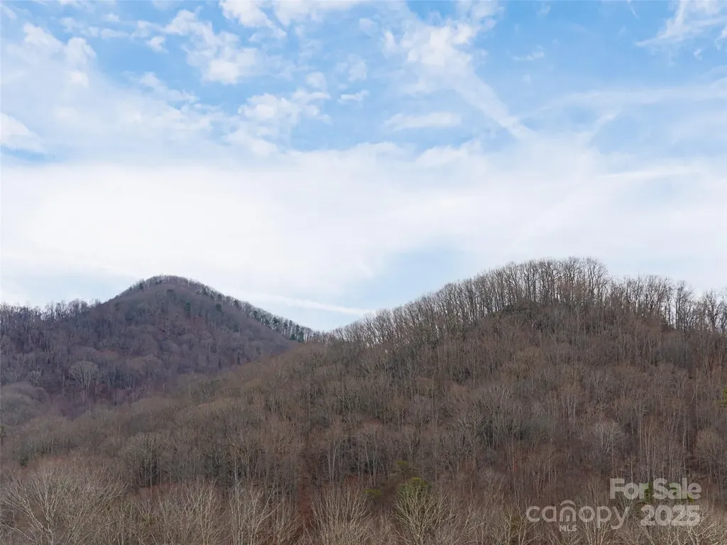51 Bridgeway Drive Candler NC 28715