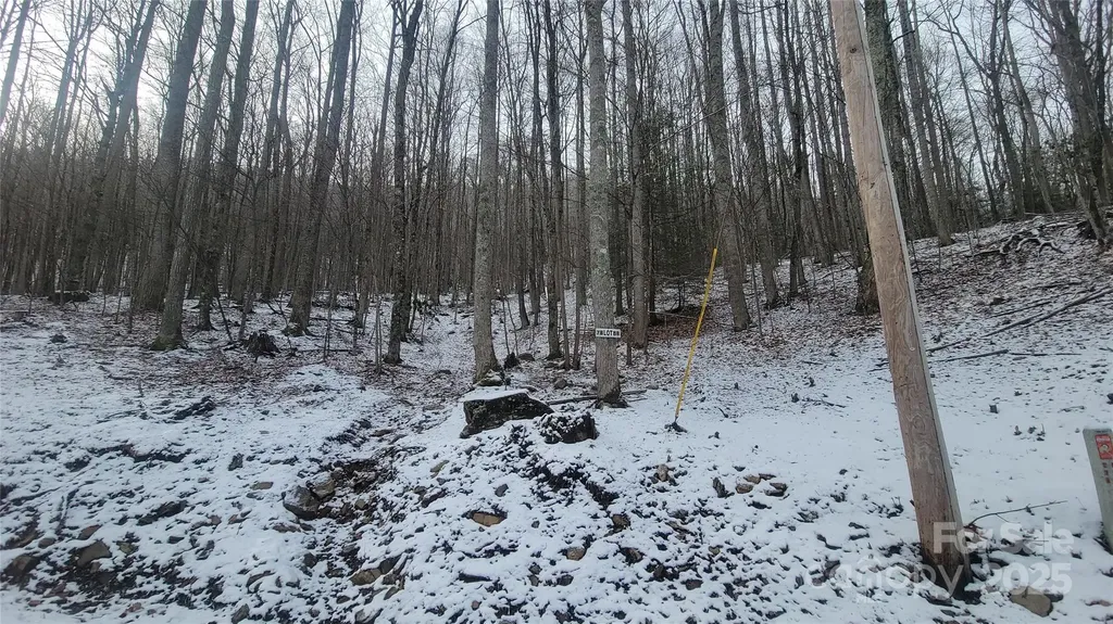 Lot 7b Hickory Springs Road Burnsville NC 28714