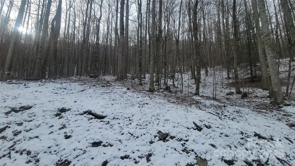 Lot 7b Hickory Springs Road Burnsville NC 28714