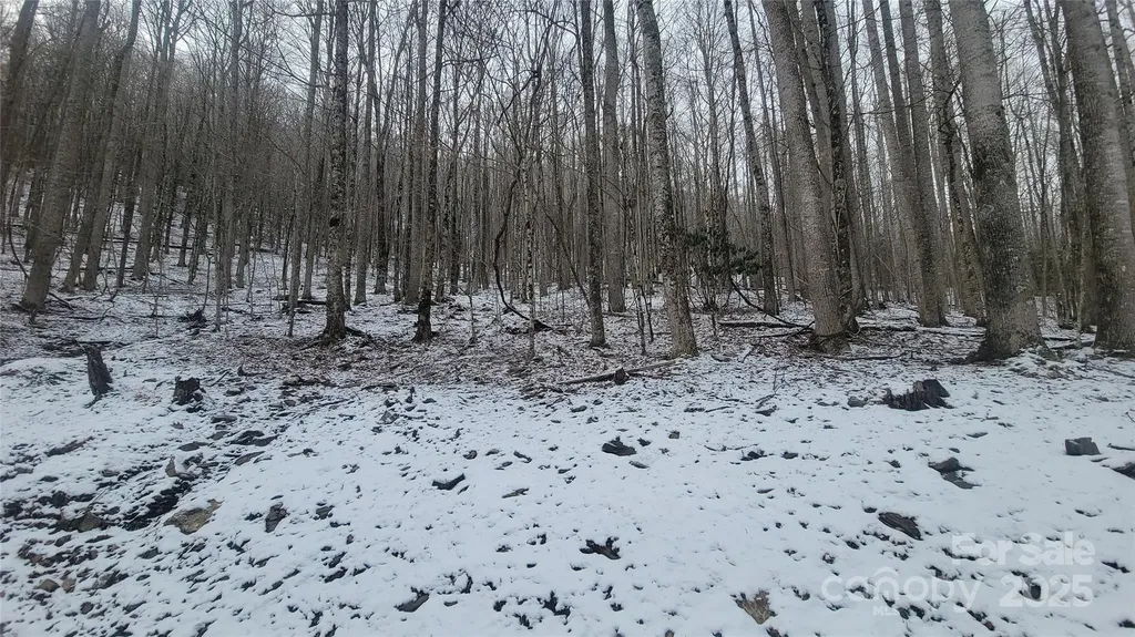 Lot 7b Hickory Springs Road Burnsville NC 28714