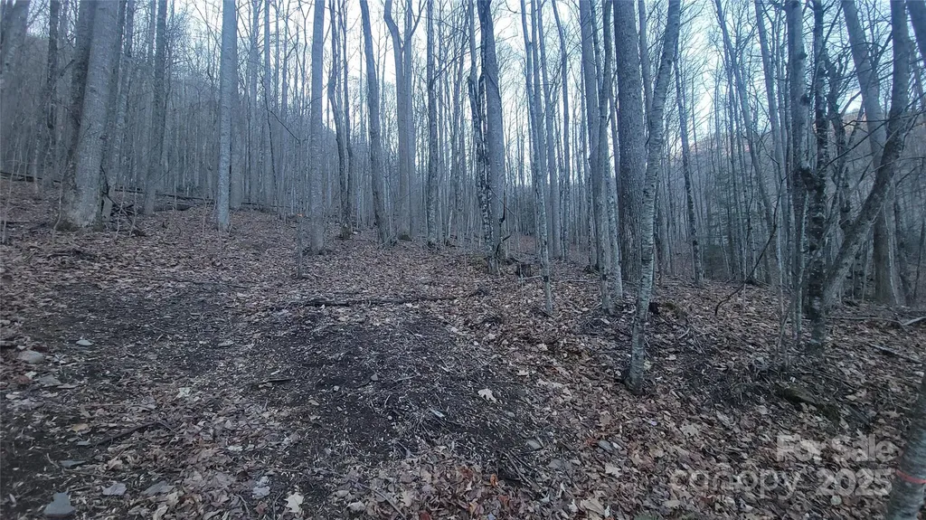 Lot 7b Hickory Springs Road Burnsville NC 28714