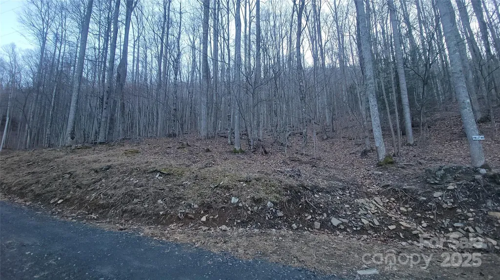 Lot 7b Hickory Springs Road Burnsville NC 28714