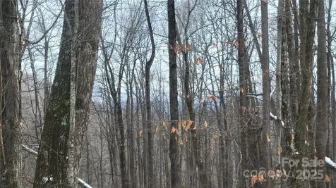 Lot 7b Hickory Springs Road Burnsville NC 28714