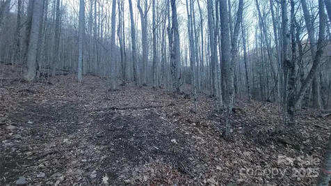 Lot 7b Hickory Springs Road Burnsville NC 28714