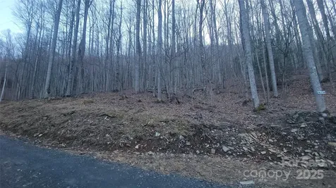 Lot 7b Hickory Springs Road Burnsville NC 28714