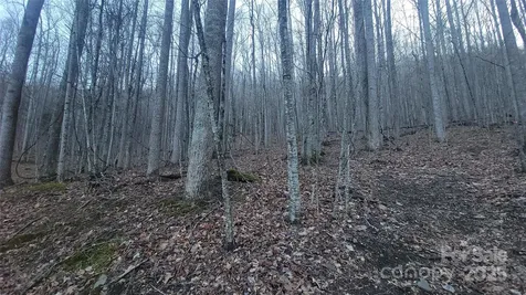 Lot 7b Hickory Springs Road Burnsville NC 28714