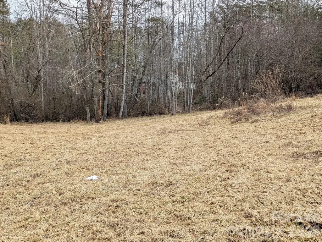 36 Country Cove Court Leicester NC 28748