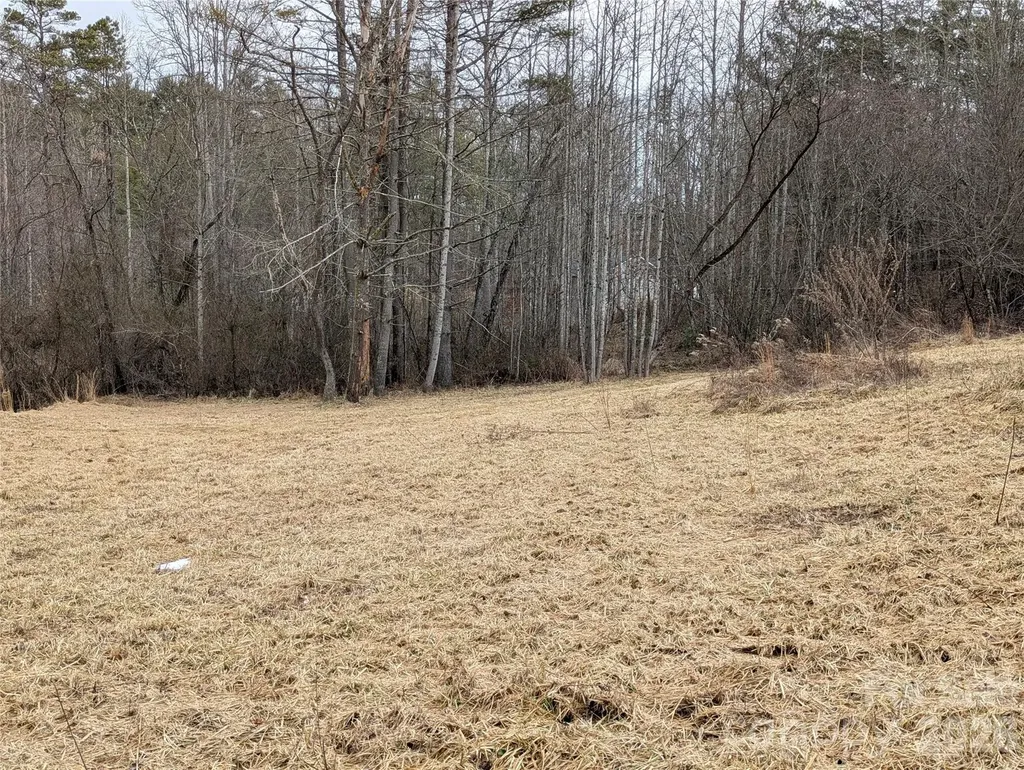 36 Country Cove Court Leicester NC 28748