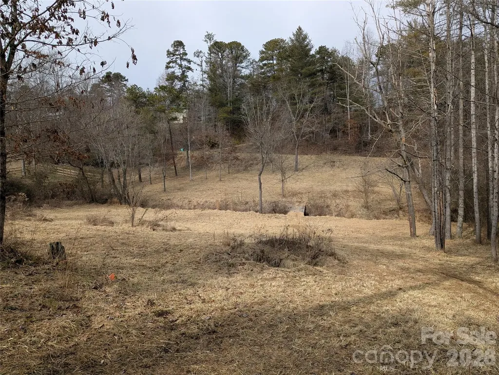 36 Country Cove Court Leicester NC 28748