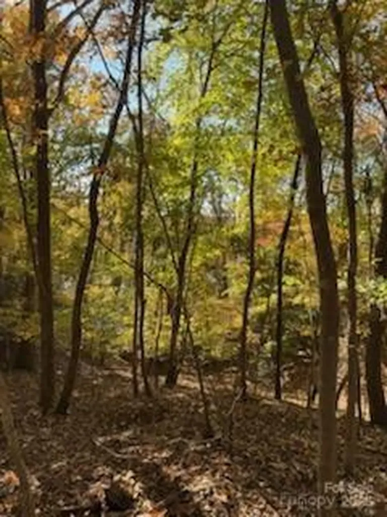 300 Rivercliff Drive Stony Point NC 28678