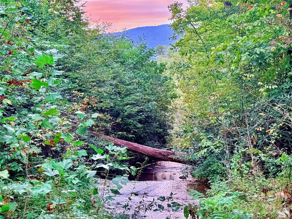 0 The Falls Road Union Mills NC 28167