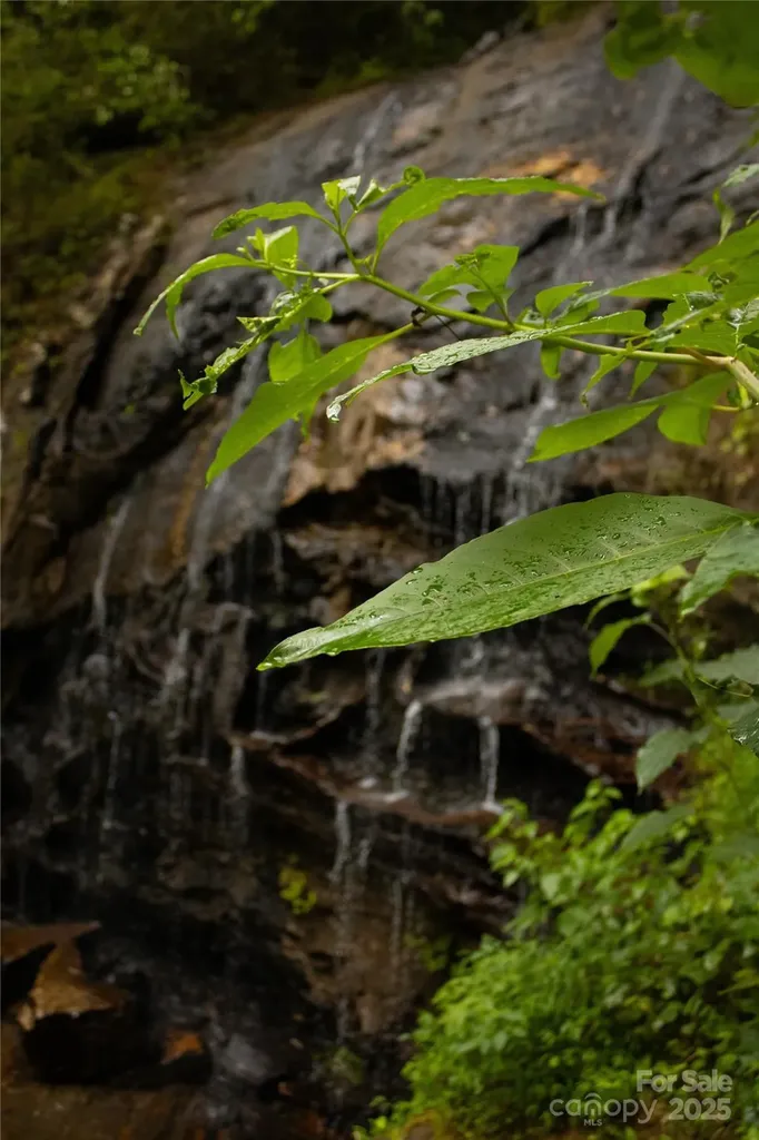0 The Falls Road Union Mills NC 28167