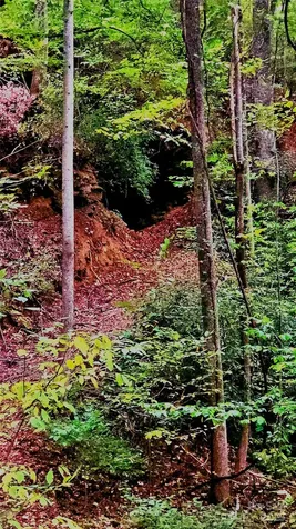 0 Shoal Ridge Lane Union Mills NC 28167