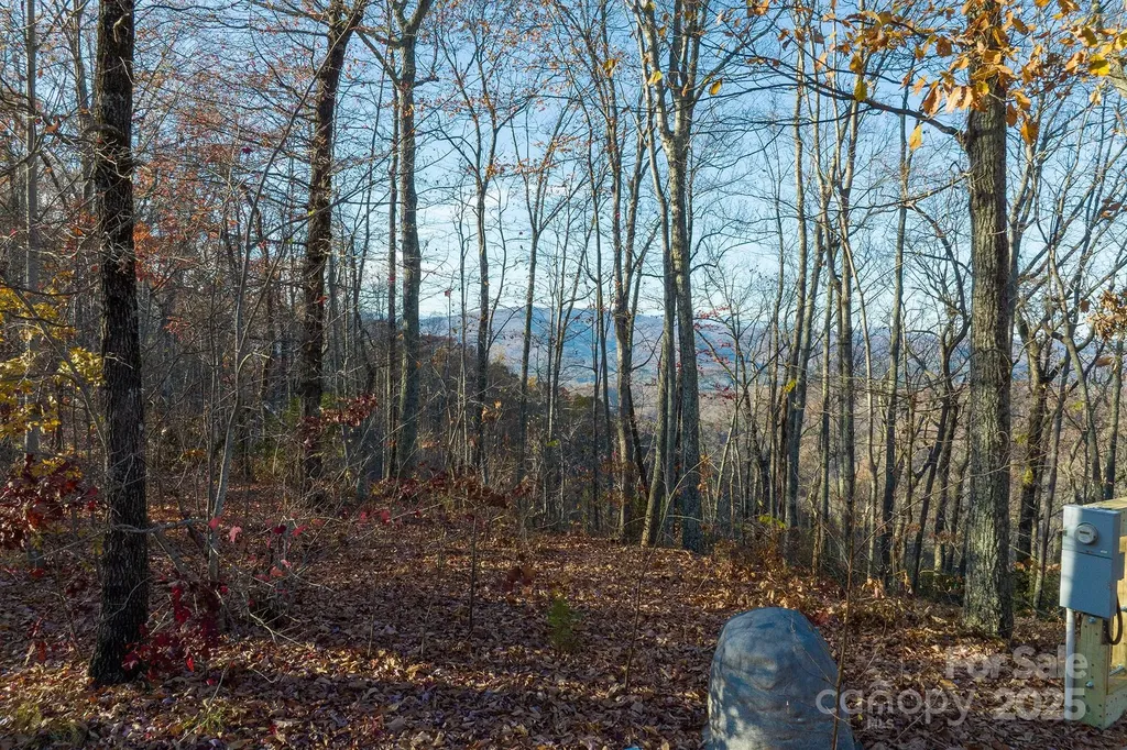 0 Shoal Ridge Lane Union Mills NC 28167