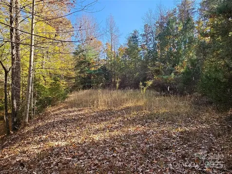 125 Big Cedar Drive Rutherfordton NC 28139