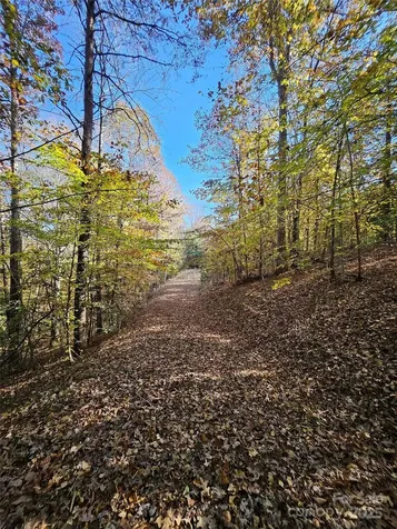 125 Big Cedar Drive Rutherfordton NC 28139