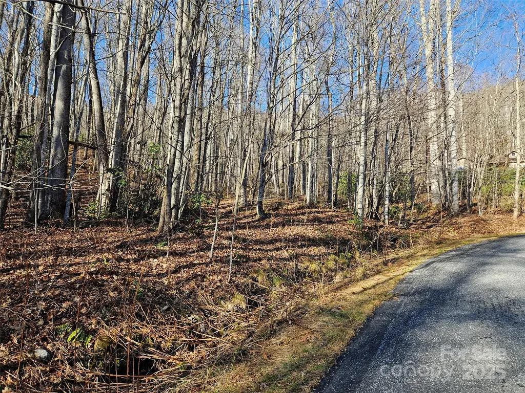 000 Serenity Drive Waynesville NC 28785